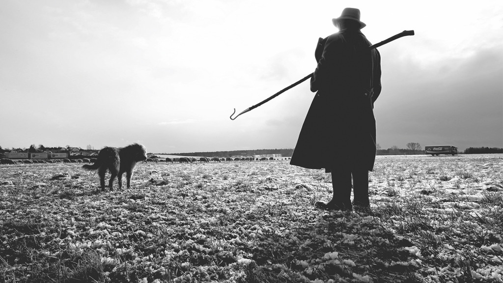 Der gute Hirte